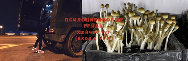 спиды Абинск